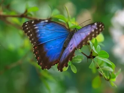 How Compassion Can Help Us Have Conversation About Racism