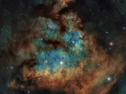 How Consciousness Is Your Daily Function