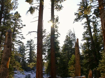 How Different Steps Are Infused Into Meditation