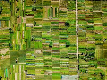 How Do I Come Into The Light?