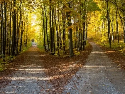 How Do I Make The Right Choice?