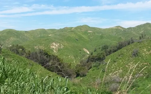 How Do You Feel Energized?