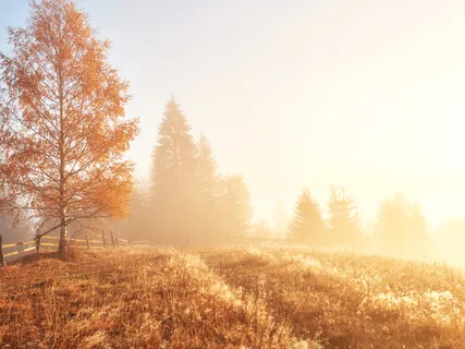 How Do You Gratitude?