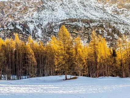 How Do You Respond To Disappointment?