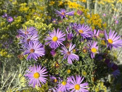 How Emotional Urgency Feels In The Body (2/3)