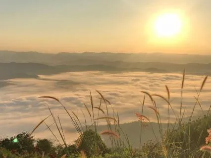 How Far You've Come: A Moment Of Self-Compassion