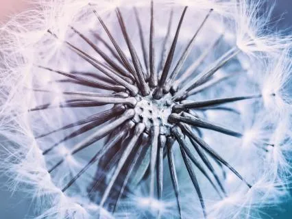 How He Manifested A New Reality (True Story)