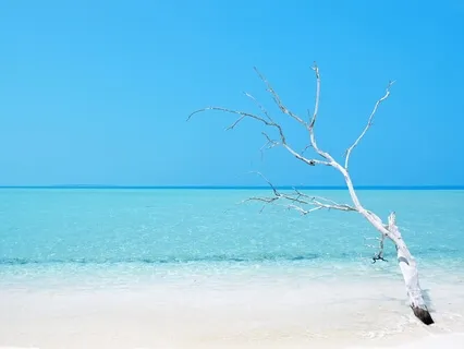 How Heartfulness Meditation Can Change Us Mentally & Spiritually