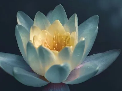 How I Reframed An Experience | Learning To Let Go