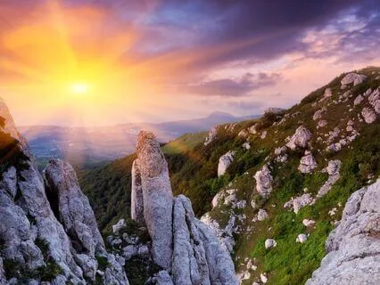 How Is It When I Surpass The Lack Of My Pet