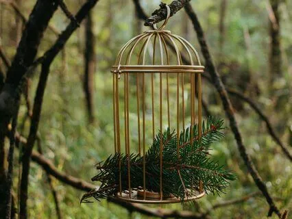 How Is That Spirit Of Yours?