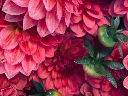 How Jealousy Enters Life And Why