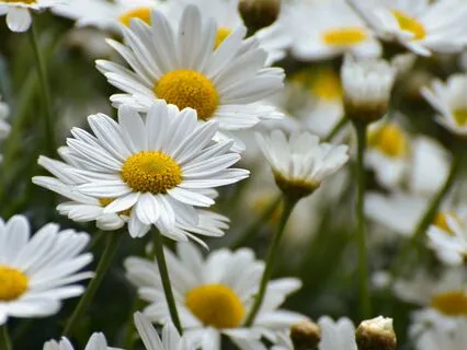 How Language Is Keeping Us From The Divine