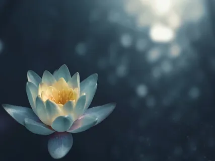 How Meditation & Mindfulness Can Work For You.