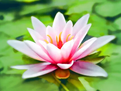 How Mind Plays With Us. Abhyasa Needed To Work On The Mind