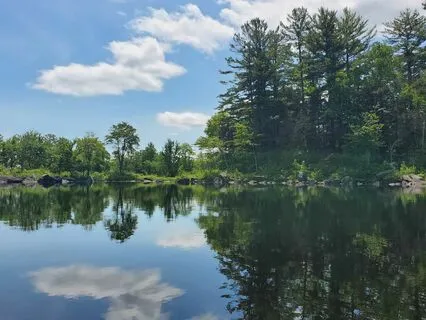 How Mindfulness And Intentionality Can Change The World