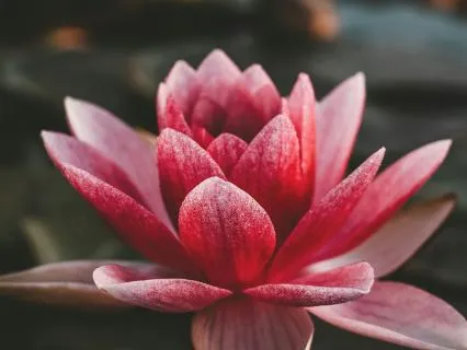 How Moving Your Body Is Healing