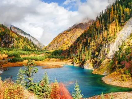 How Not To Be Miserable