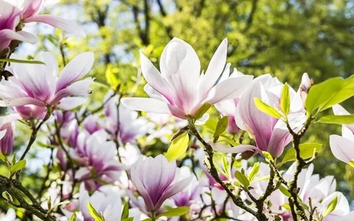 How Not To Let Others' Behaviour Disturb Your Inner Peace