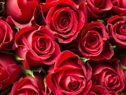 How Osiris Can Help Us Cultivate Our Divine Masculine