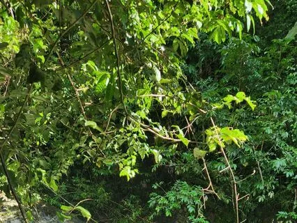 How Our Actions Affect Our Energy