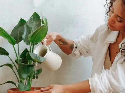 How Results Are Created