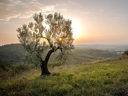 How Societal Programs Hijack Your Life