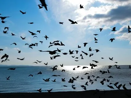 How Space Impacts Manifestation (Part 2)