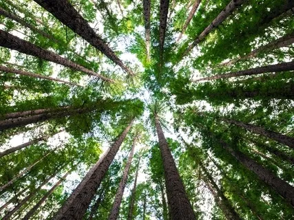 5 Stoic Ways To See Reality & Ease Anxiety