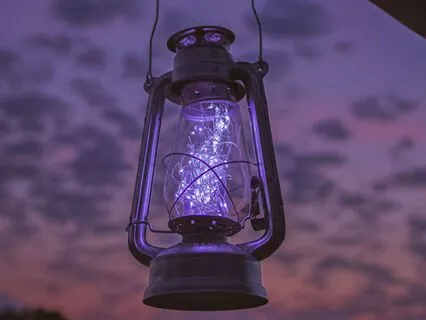 How The Leopard Got His Spots