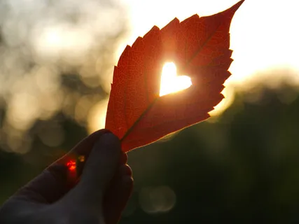 How The Mind-Heart Unfolds