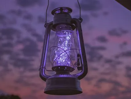 How The Rhinoceros Got His Skin