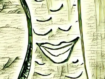 How The Trees Make Earth Home From Talk To The Trees