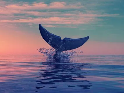 Bedtime Story: How The Whale Got His Throat