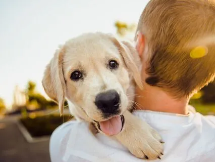 How To Accept & Love Everything Without Trying: A Meditation