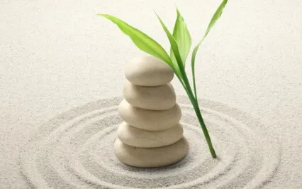 How To Accept What You Cannot Change | Day 1/7