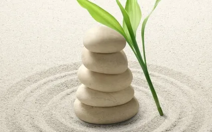 How To Accept What You Cannot Change | Day 3/7