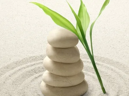 How To Accept What You Cannot Change | Day 4/7