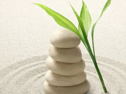 How To Accept What You Cannot Change | Day 5/7