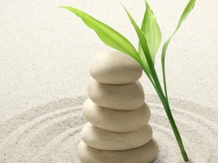 How To Accept What You Cannot Change | Day 6/7