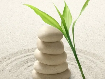 How To Accept What You Cannot Change | Day 7/7