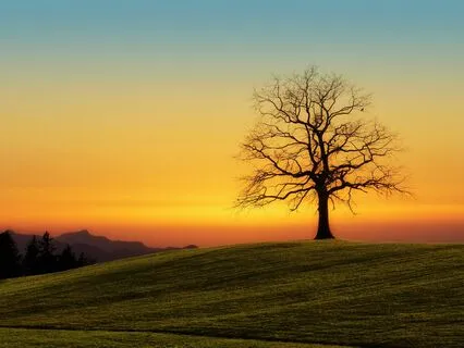 How To Address The Root Of Loneliness