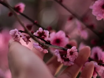 How To Alchemize Frustration (Arousal Control Technique)