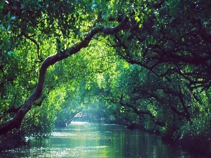 How To Apply Emotional First Aid Using EFT