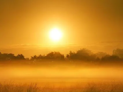 Assimilating These Teachings - Teacher Recommendations