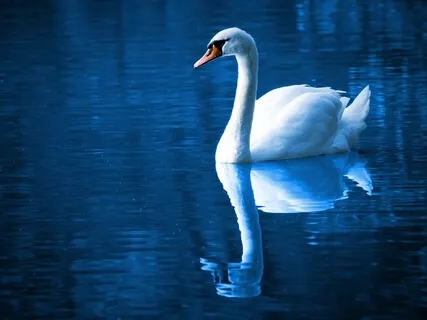 How To Avoid Addictions To Anything