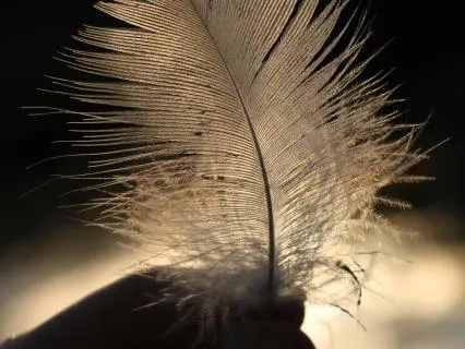 How To Be Abundant In Peace | With 396 Hz + 888 Hz