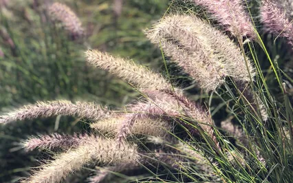 How To Be Alone & Be Happy