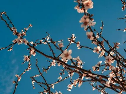 How To Be Fierce With A Big Heart