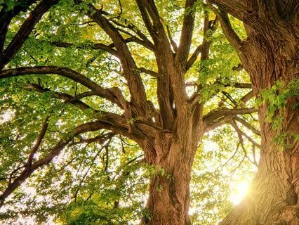 How To Be Grounded (+ 5 Practical Tips)